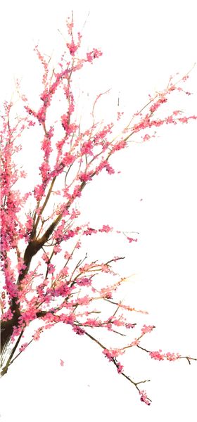 红色花