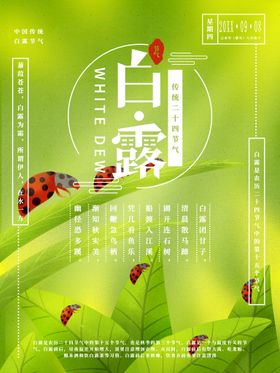 白露