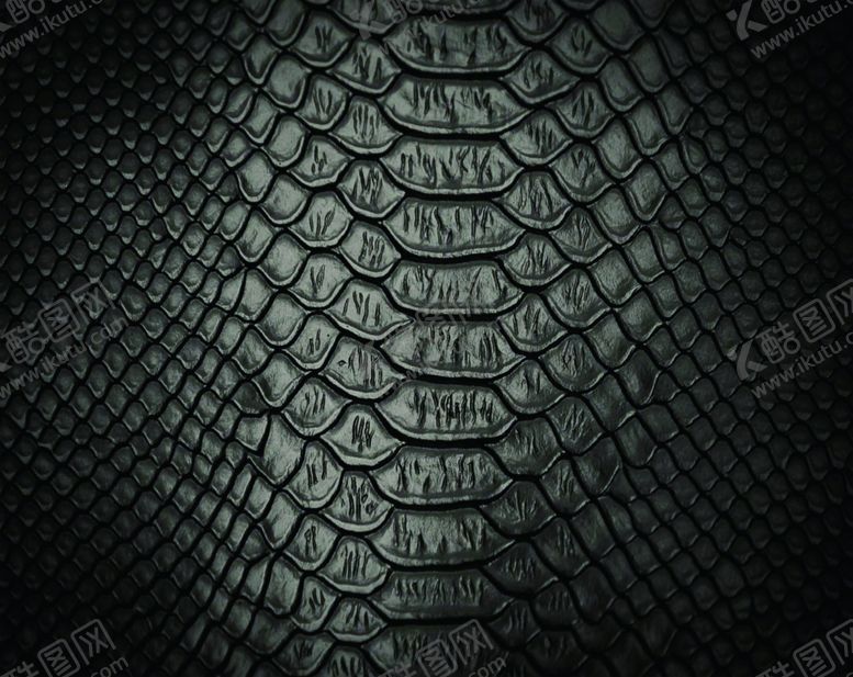 编号：98011410200714096729【酷图网】源文件下载-鳄鱼皮