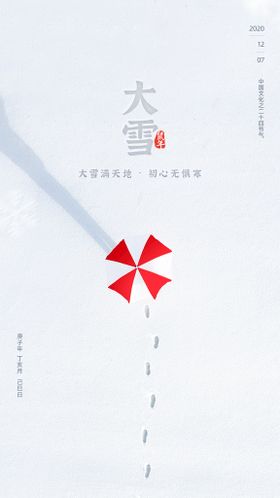 二十四节气大雪海报