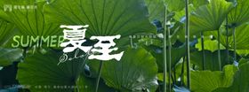 夏至海报二十四节气荷叶日