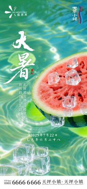 大暑冰块二十四节气海报