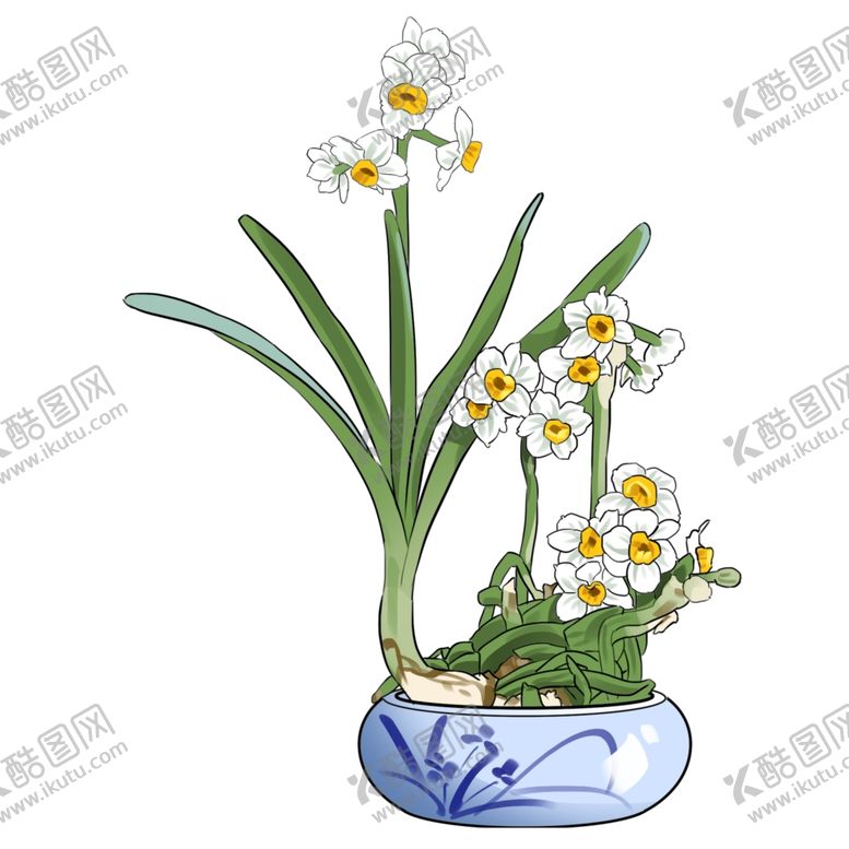 编号：10662607130609107990【酷图网】源文件下载-水仙花