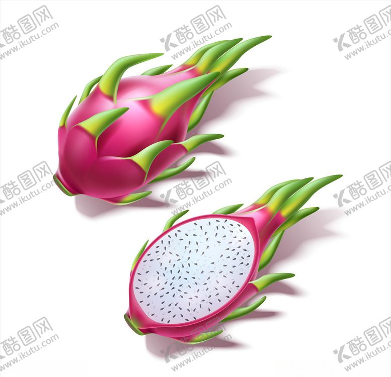 编号：25844605100213313076【酷图网】源文件下载-红心火龙果
