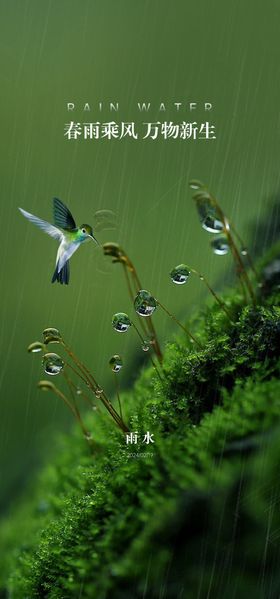 雨水