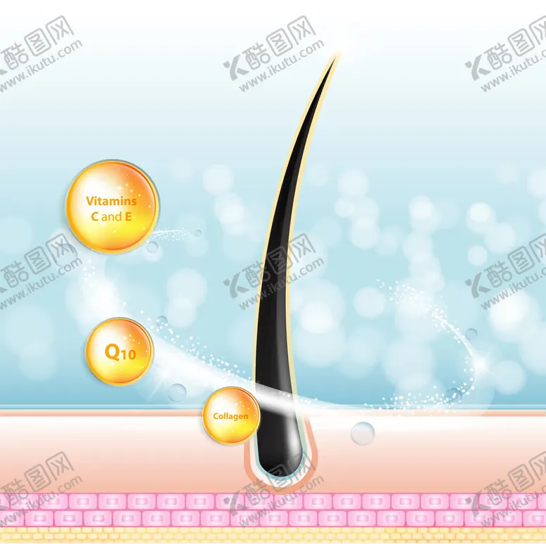 编号：46888202070440114659【酷图网】源文件下载-头发皮肤