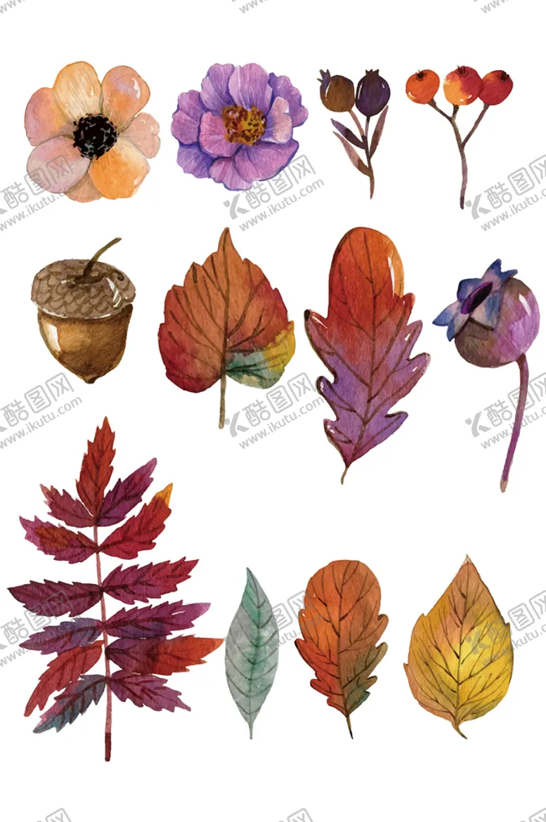 编号：09824709210233005218【酷图网】源文件下载-植物花卉
