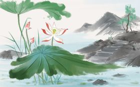 荷花插画