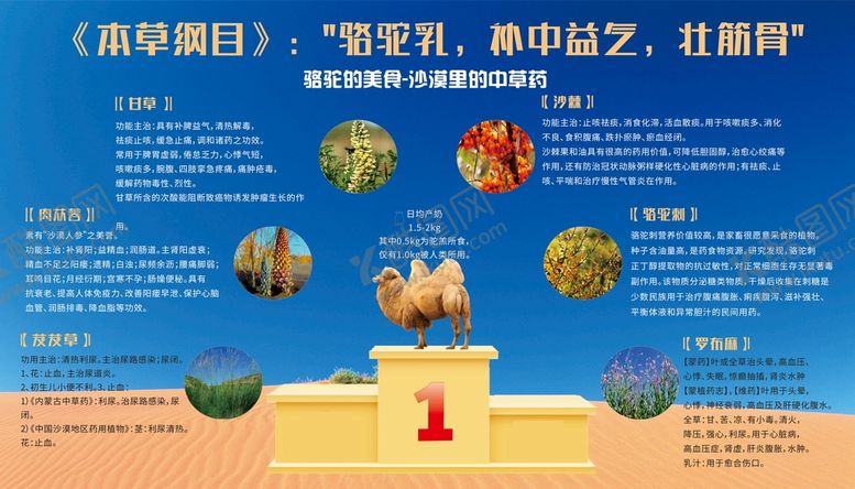 编号：22231202010218011211【酷图网】源文件下载-中老年驼奶粉