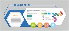 公司简介企业简介文化墙