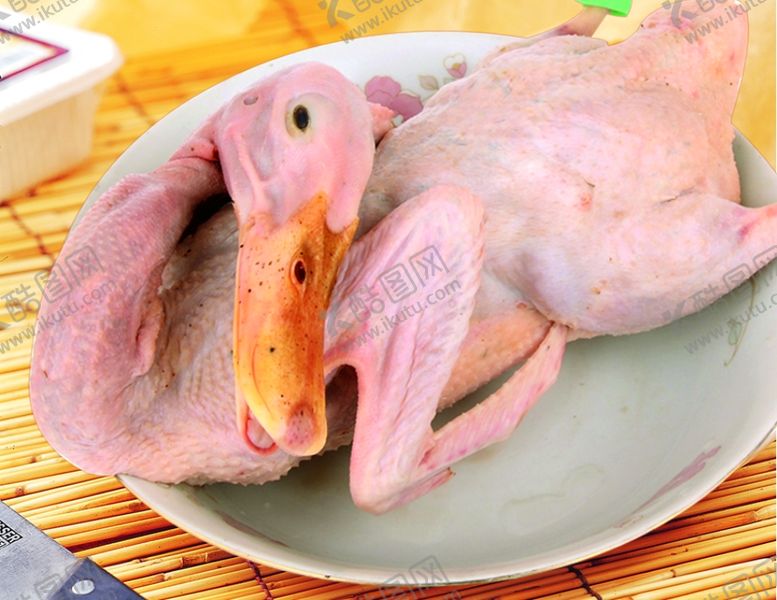 编号：19857809240114339229【酷图网】源文件下载-鲜水鸭