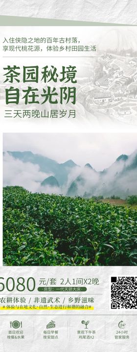 茶园旅游海报