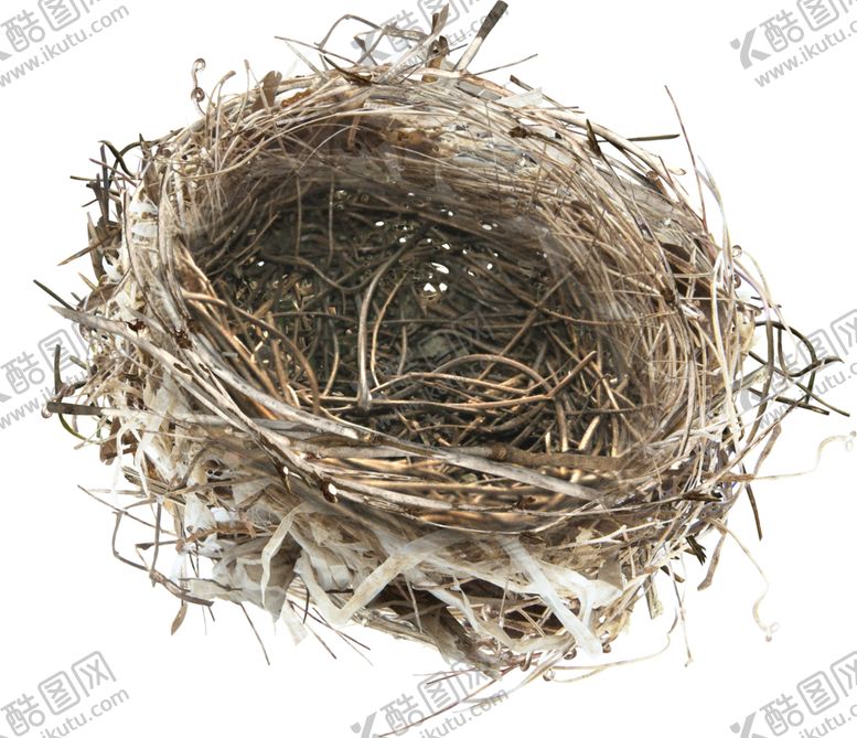 编号：65568909200515076349【酷图网】源文件下载-鸟巢图案