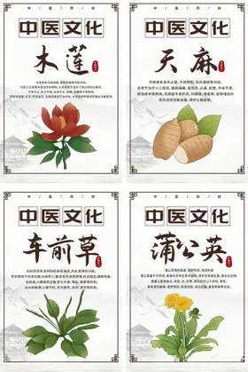 中式中医中药药材宣传系列海报