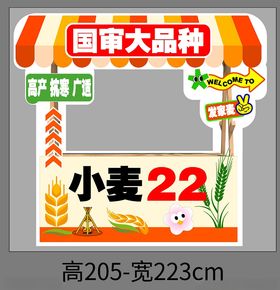 打卡美陈