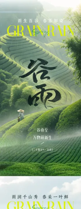 谷雨茶叶春茶