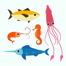 海洋生物插图鱼类动