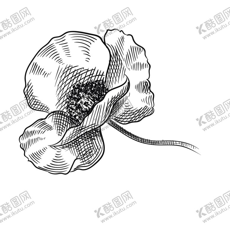 编号：90870405182019262270【酷图网】源文件下载-鲜花素材