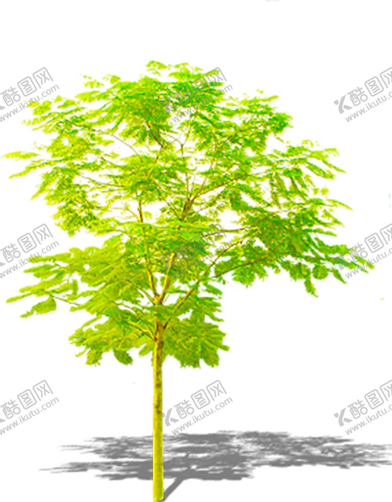 编号：93909310032220362891【酷图网】源文件下载-绿色装饰