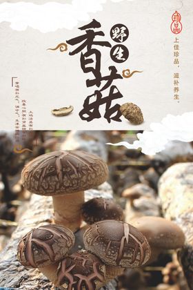 香菇