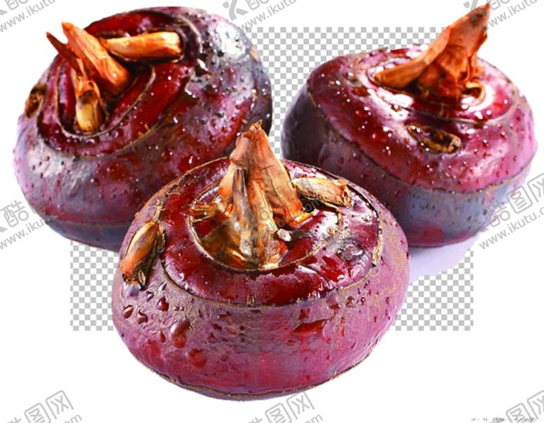 编号：41313109251918242626【酷图网】源文件下载-马蹄