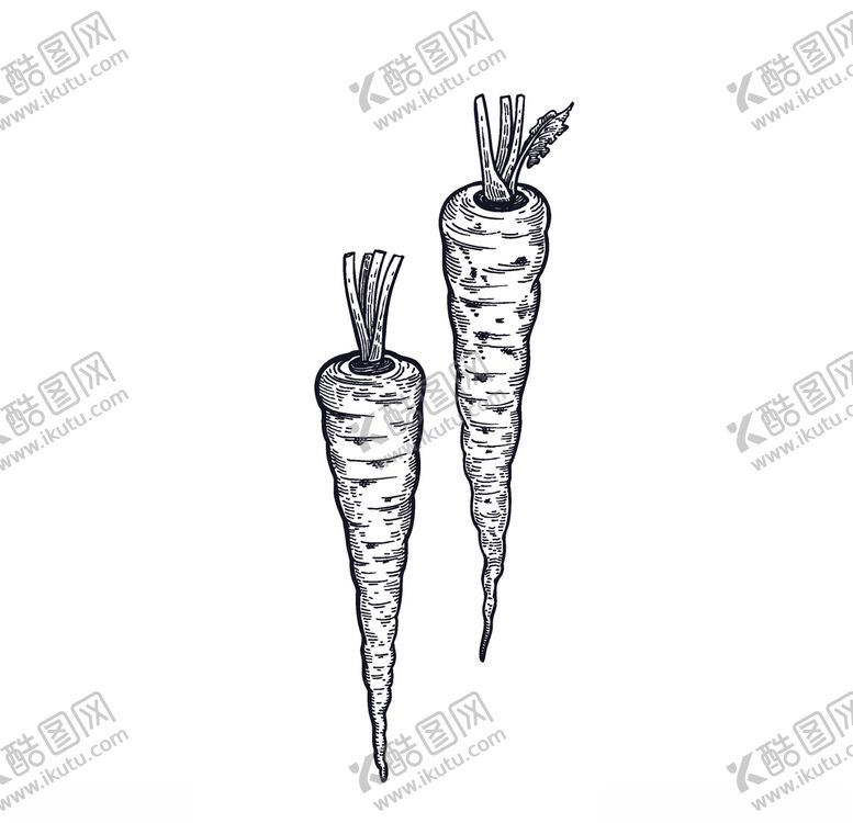 编号：59883309140105155801【酷图网】源文件下载-胡萝卜