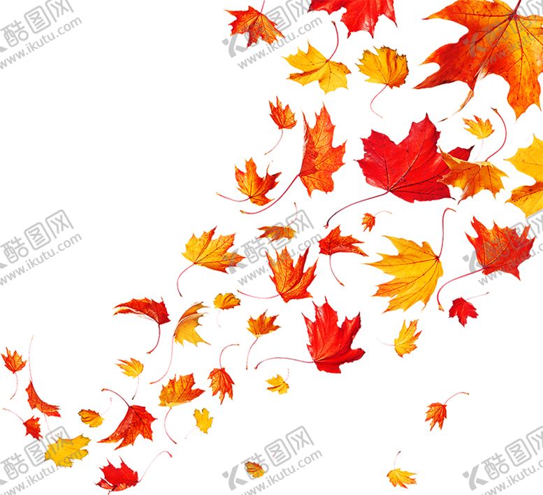 编号：92077409272338147463【酷图网】源文件下载-浪漫素材