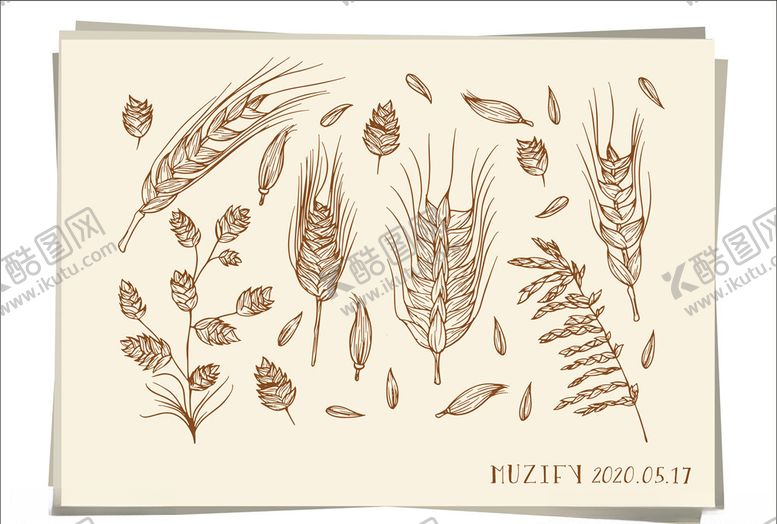 编号：35229010290904157187【酷图网】源文件下载-麦穗手绘稿