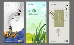 小满海报设计