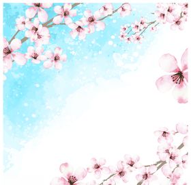 樱花