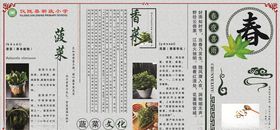 春天蔬菜简介展板