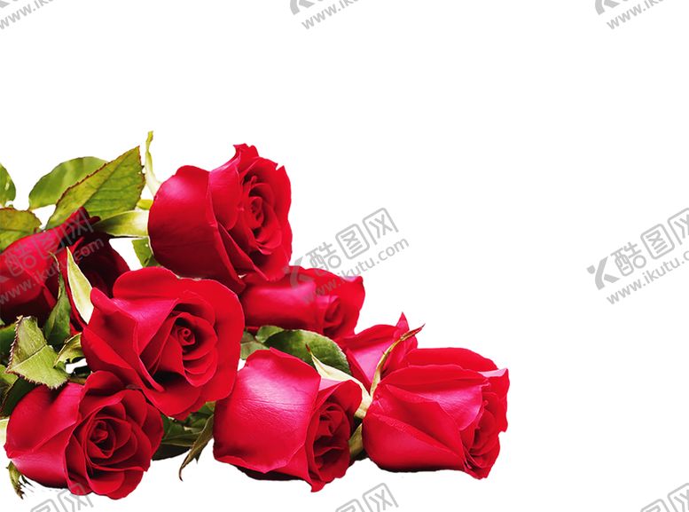 编号：29226009260357381839【酷图网】源文件下载-浪漫素材