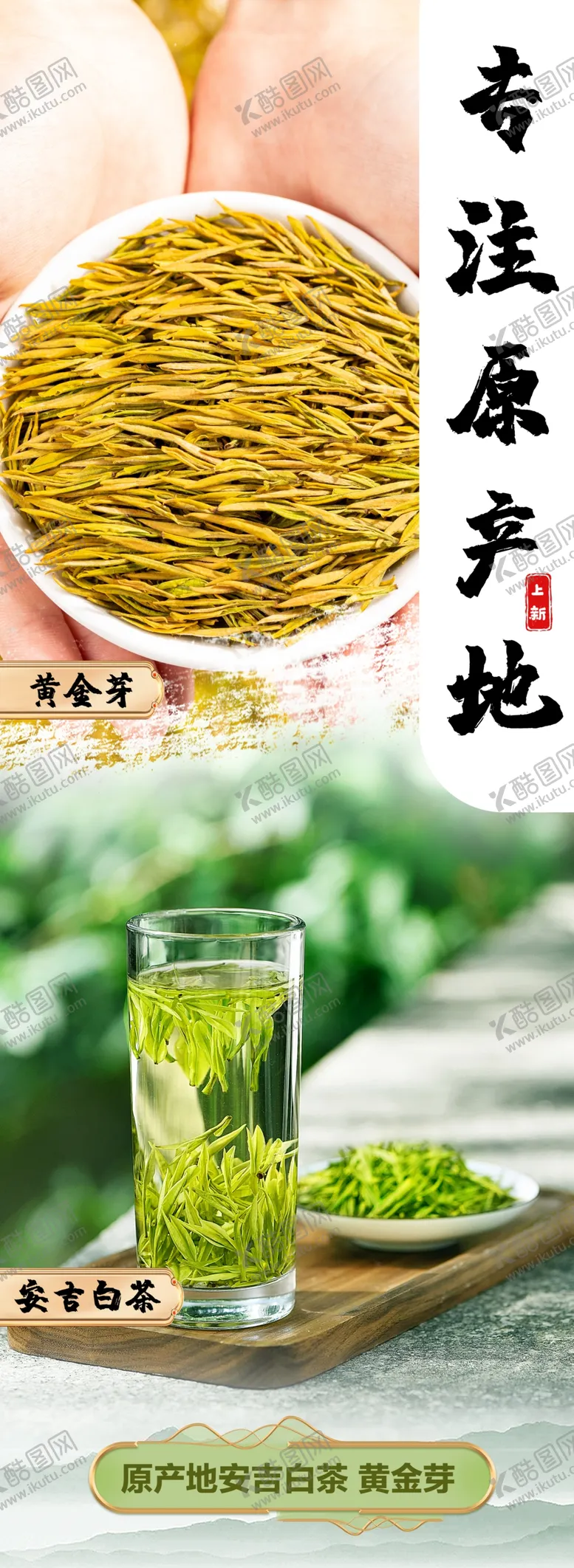 编号：26211101141103027112【酷图网】源文件下载-安吉白茶