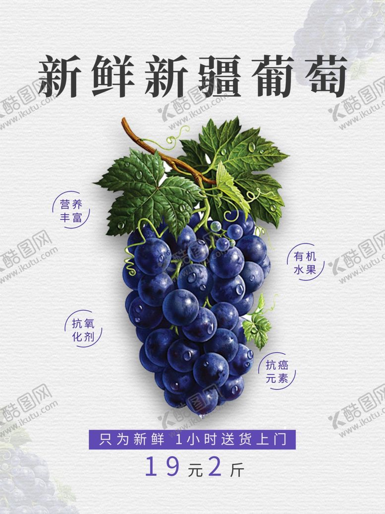 编号：48050201282326356024【酷图网】源文件下载-新鲜葡萄