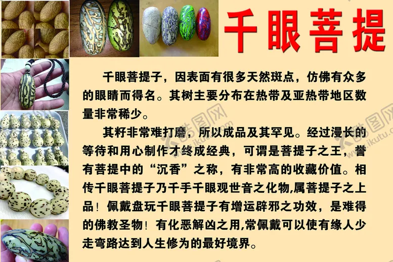 编号：42860909290727534158【酷图网】源文件下载-千眼菩提
