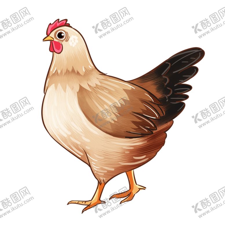 编号：64666809122053034121【酷图网】源文件下载-卡通手绘母鸡散步