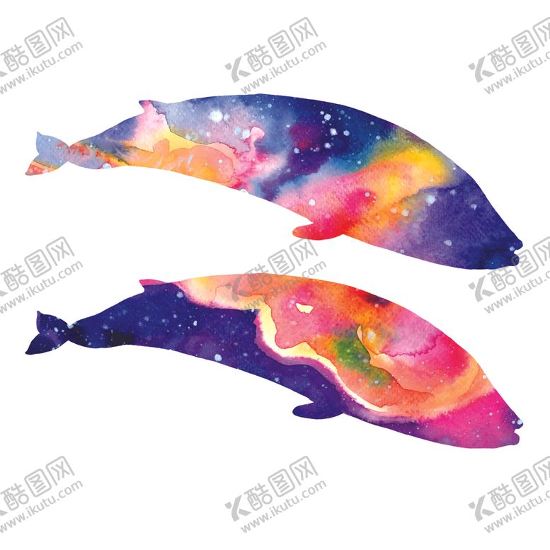 编号：17243309130509027578【酷图网】源文件下载-炫彩渐变鲸鱼图案