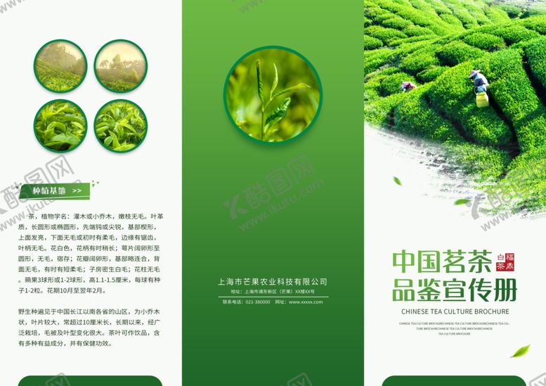 编号：75540309230251557662【酷图网】源文件下载-茶叶三折页
