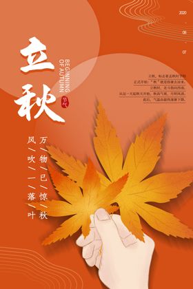 立秋风宣传素材