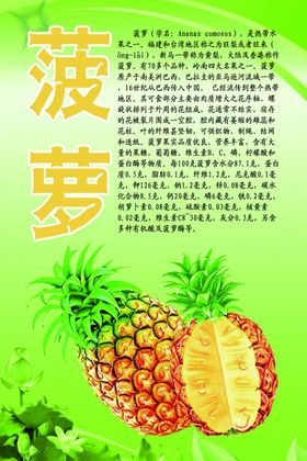 水果文化系列之菠萝