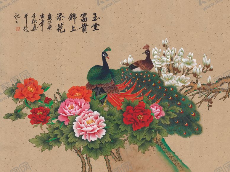 编号：49936310150516141629【酷图网】源文件下载-孔雀壁纸