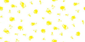 小花
