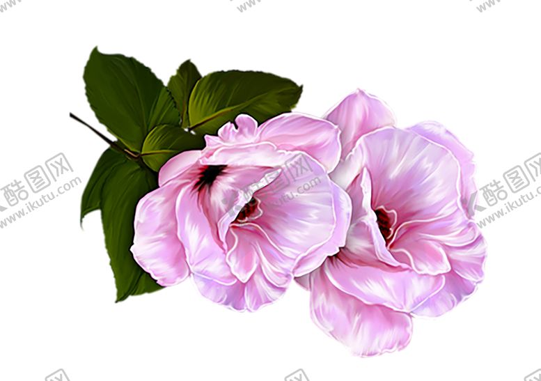 编号：96755909262200337292【酷图网】源文件下载-鲜花素材