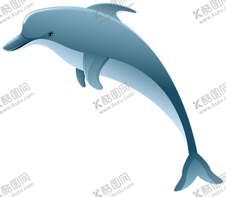 编号：77037507082213419525【酷图网】源文件下载-海豚
