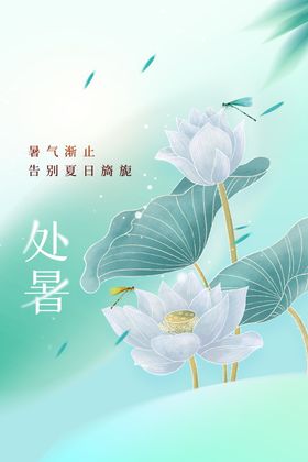 处暑处暑节气海报