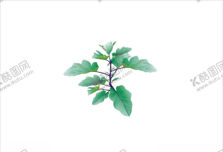 编号：80663105091954118307【酷图网】源文件下载-茄子秧