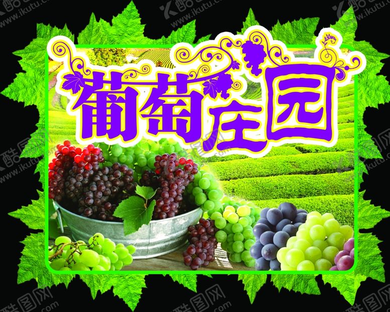 编号：97328006232234384658【酷图网】源文件下载-葡萄庄园