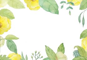 花卉插画背景素材图图片