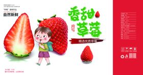 草莓包装