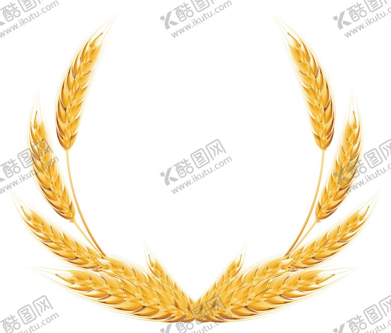 编号：77568009141212281122【酷图网】源文件下载-透明小麦png素材